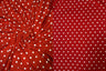 PRT-2583-009 RED/IVORY PRINTS
