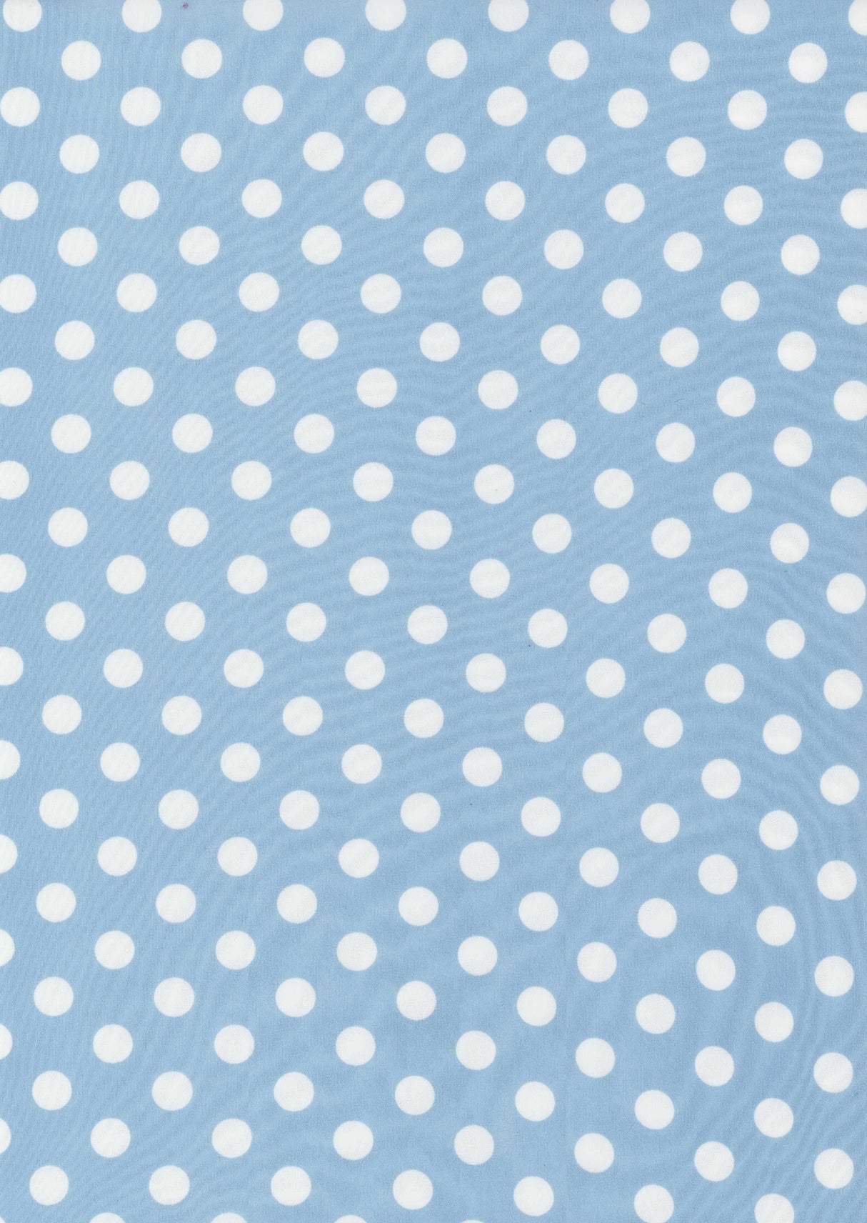 D250115-014 CHAMBRAY/IVORY PRINTS