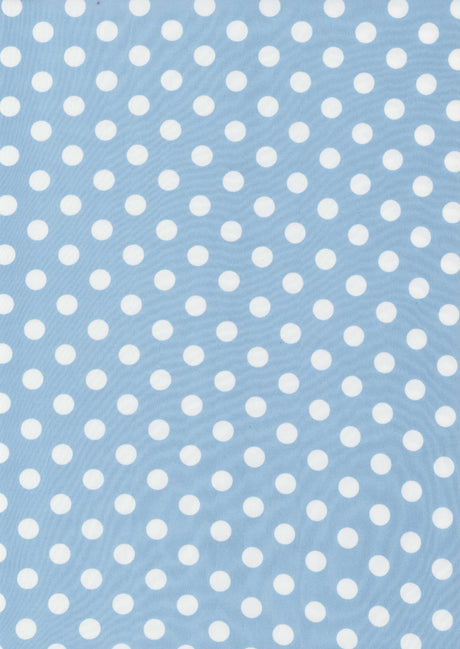 D250115-014 CHAMBRAY/IVORY PRINTS