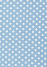D250115-014 CHAMBRAY/IVORY PRINTS