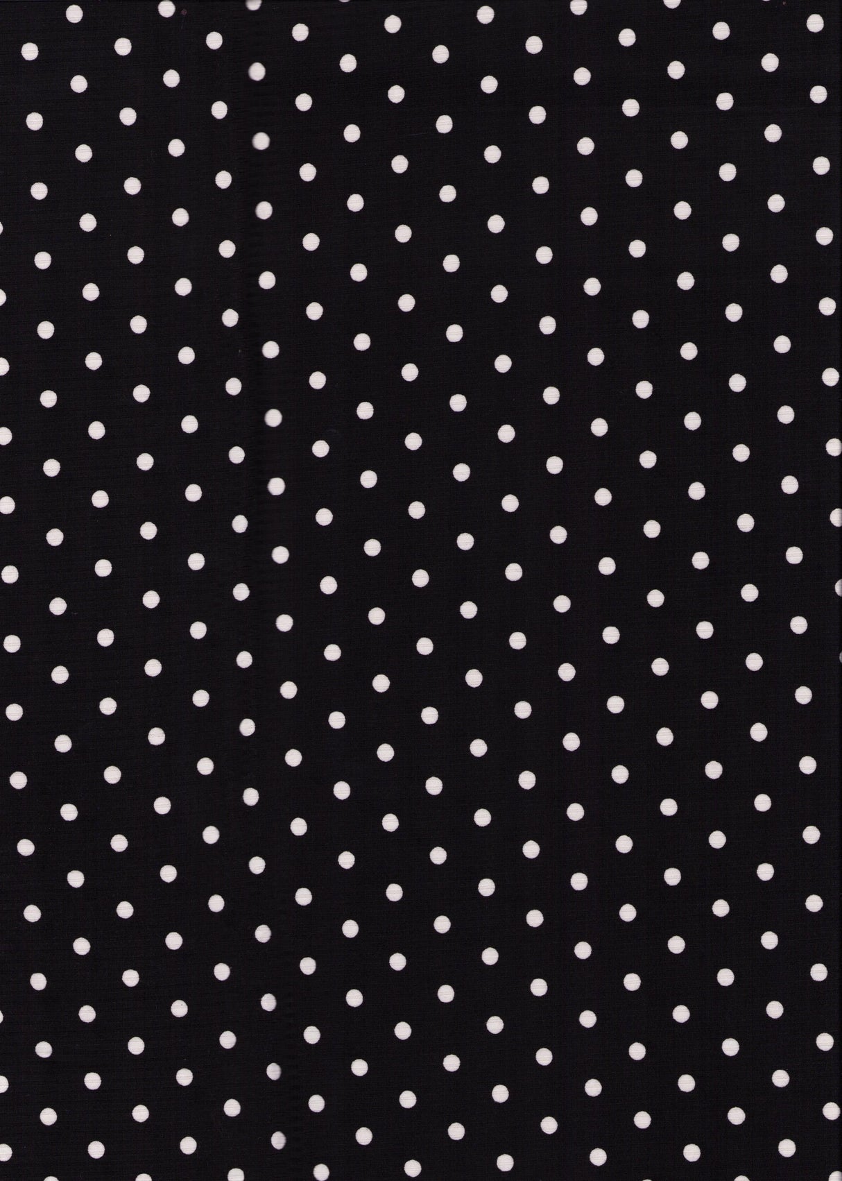 PRT-2583-026 BLACK/IVORY PRINTS