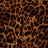 A241147-075 C8/AUBURN PRINTS