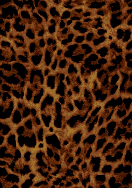A241147-075 C8/AUBURN PRINTS