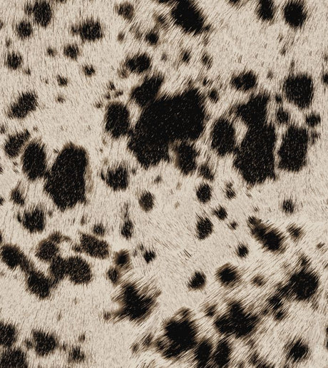 A250220-075 C3/CREAM/BLACK PRINTS