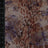 A260164-005 C1/VIOLET PRINTS