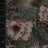 MP26007-005 C1/SAGE DUSTY PRINTS