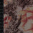 MP26005-005 C1/CORAL PRINTS