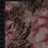 MP26005-005 C4/RED PRINTS