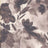MP26011-005 C3/TAUPE PRINTS