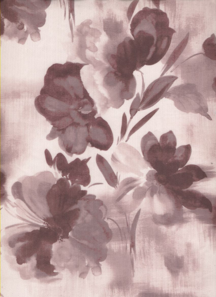 MP26011-005 C6/BROWN PRINTS