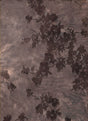 F260346-005F BROWN FLOCKING