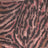 A260418-005 C5/TAUPE PRINTS