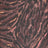 A260418-005 C8/BROWN PRINTS