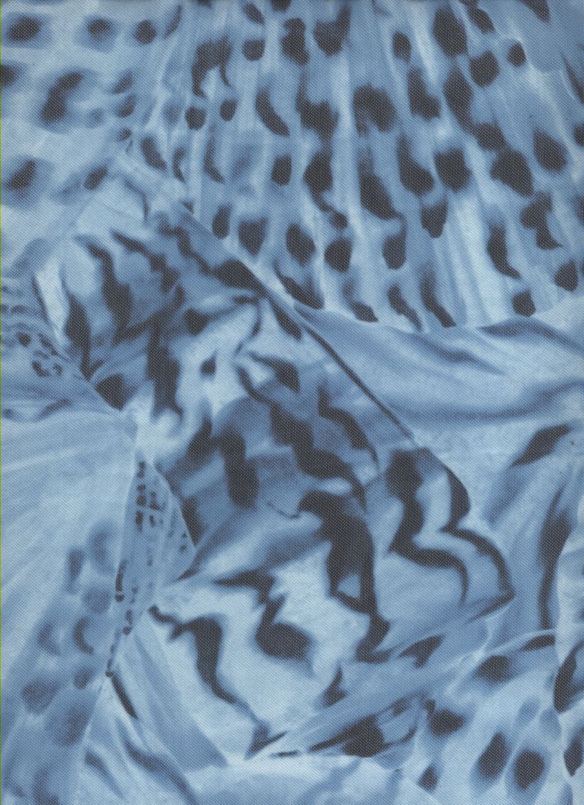 B260401-005DTP C5/NAVY EXCLUSIVE PRINTS
