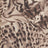 B260401-005DTP C4/LT BROWN EXCLUSIVE PRINTS