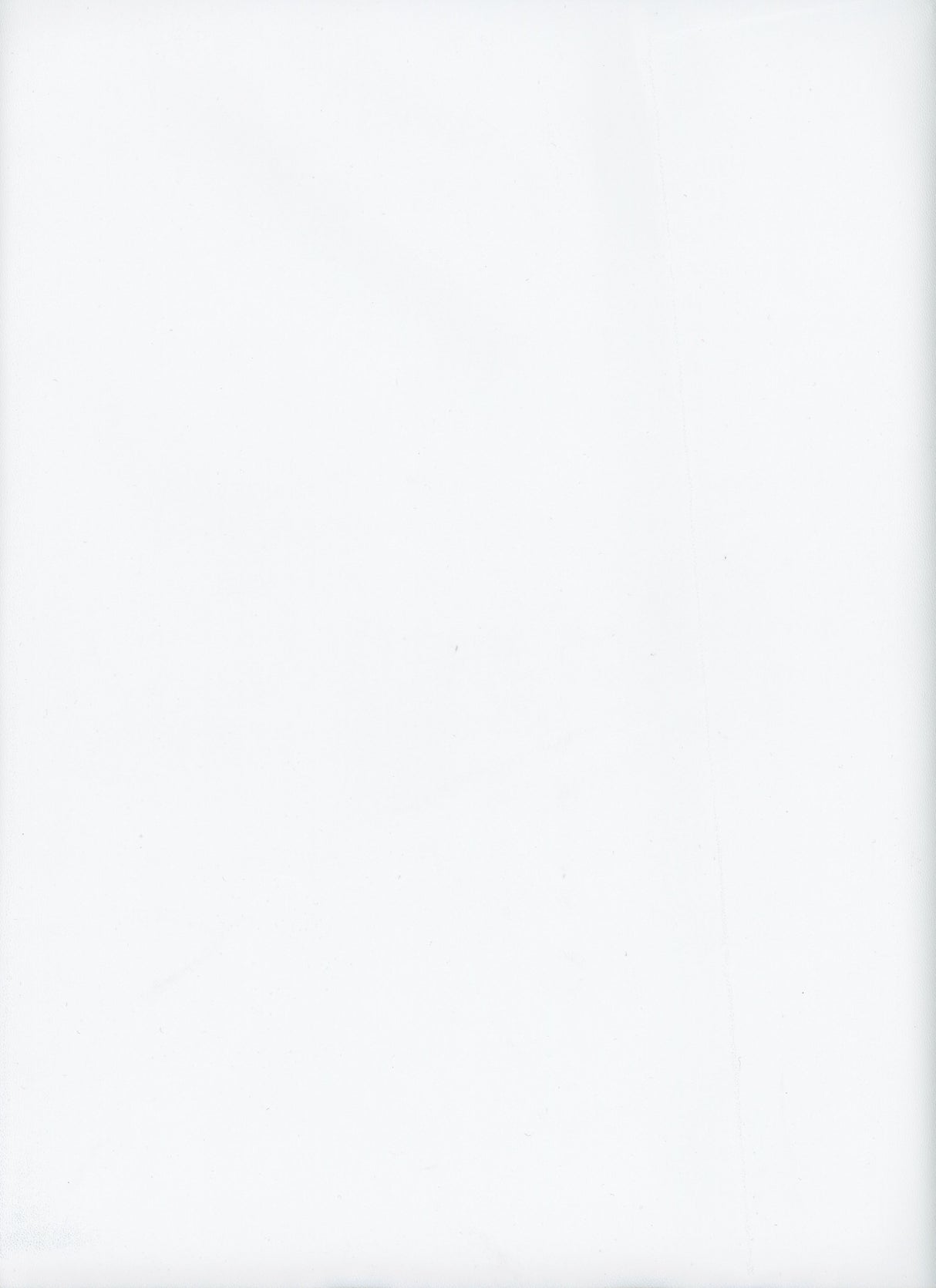 TEX-1636 IVORY SOLID ITEMS