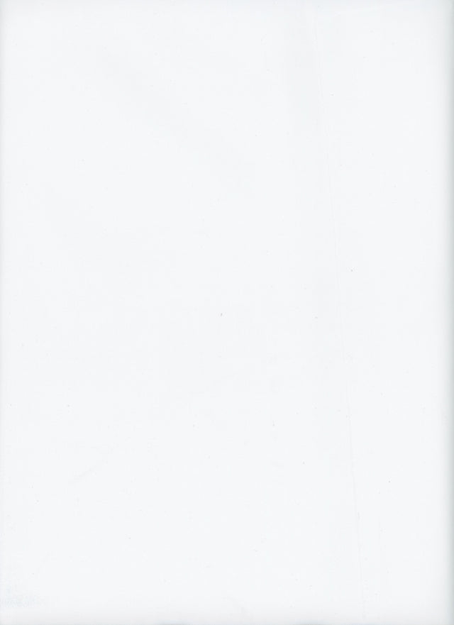 TEX-1636 IVORY SOLID ITEMS